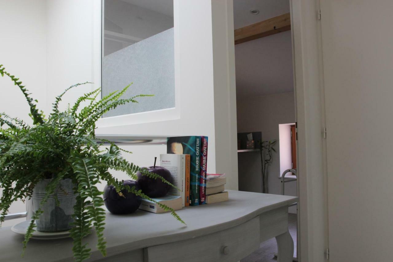 Villefranche-sur-Saône Grand Duplex Au Calme En Centre-Ville מראה חיצוני תמונה