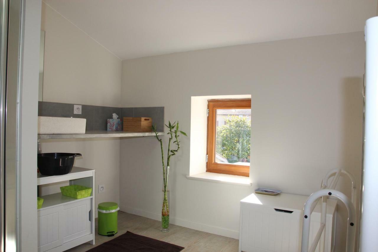 Villefranche-sur-Saône Grand Duplex Au Calme En Centre-Ville מראה חיצוני תמונה